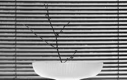 affordable and quality Venetian blinds perth